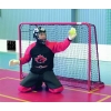 Gol za hokej Floorball 160x115cm tekmovalni